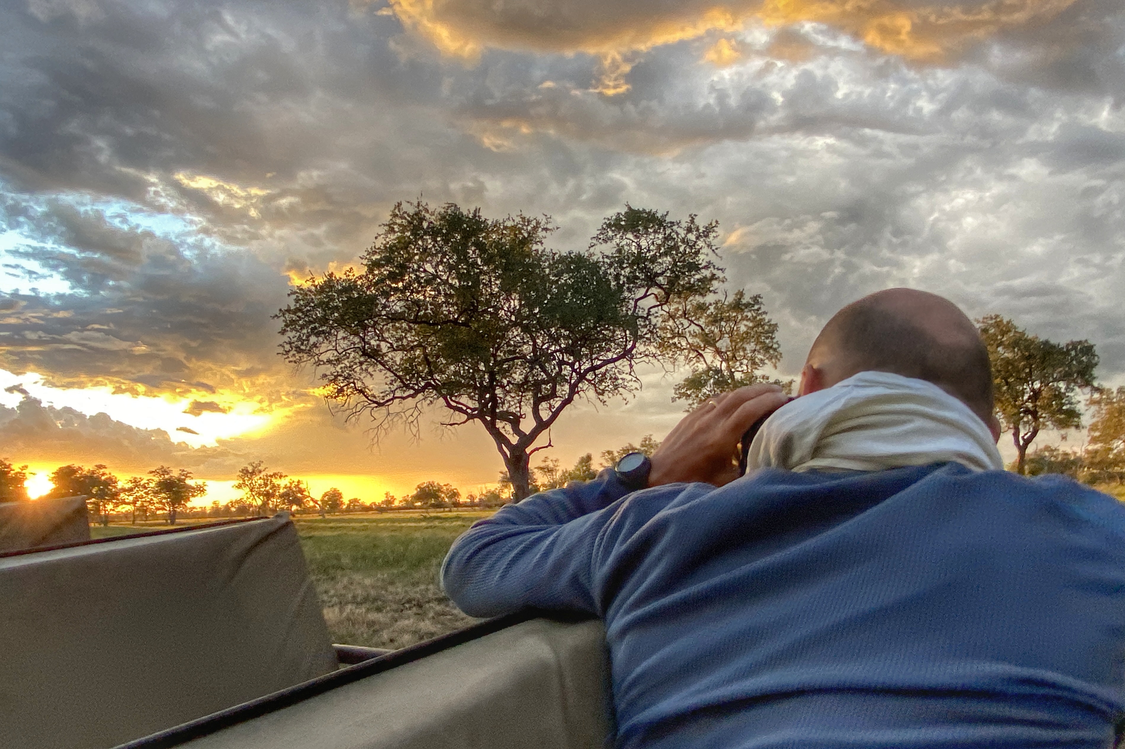 Safari au coucher du soleil en Zambie
